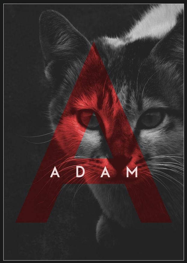adam-free-font