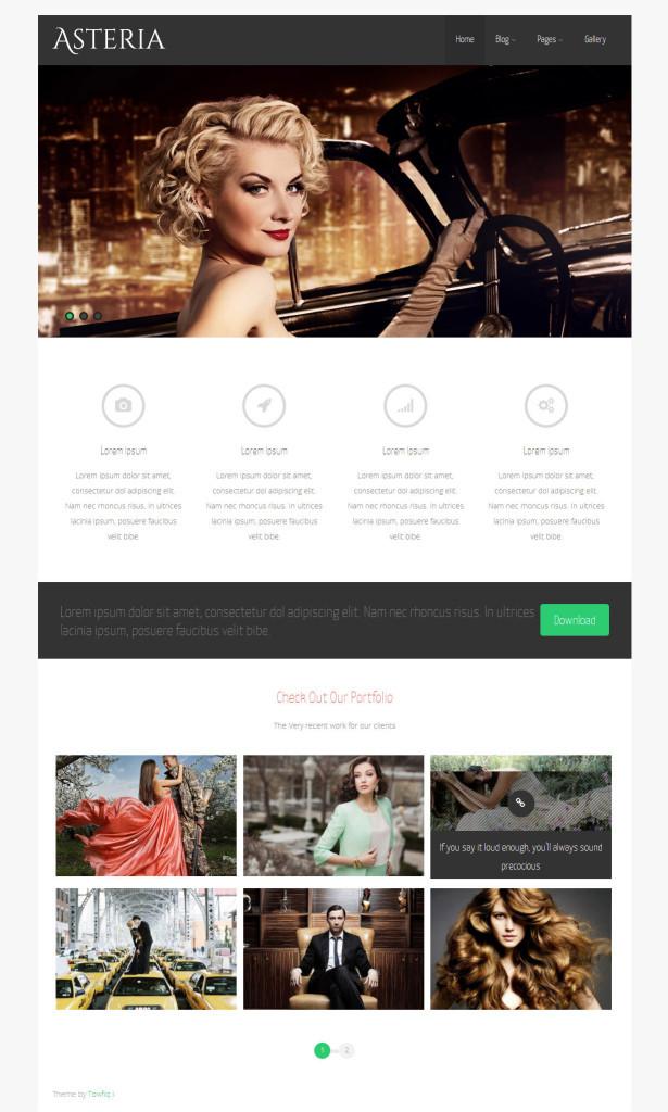 asteria-lite-best-free-wordpress-themes43