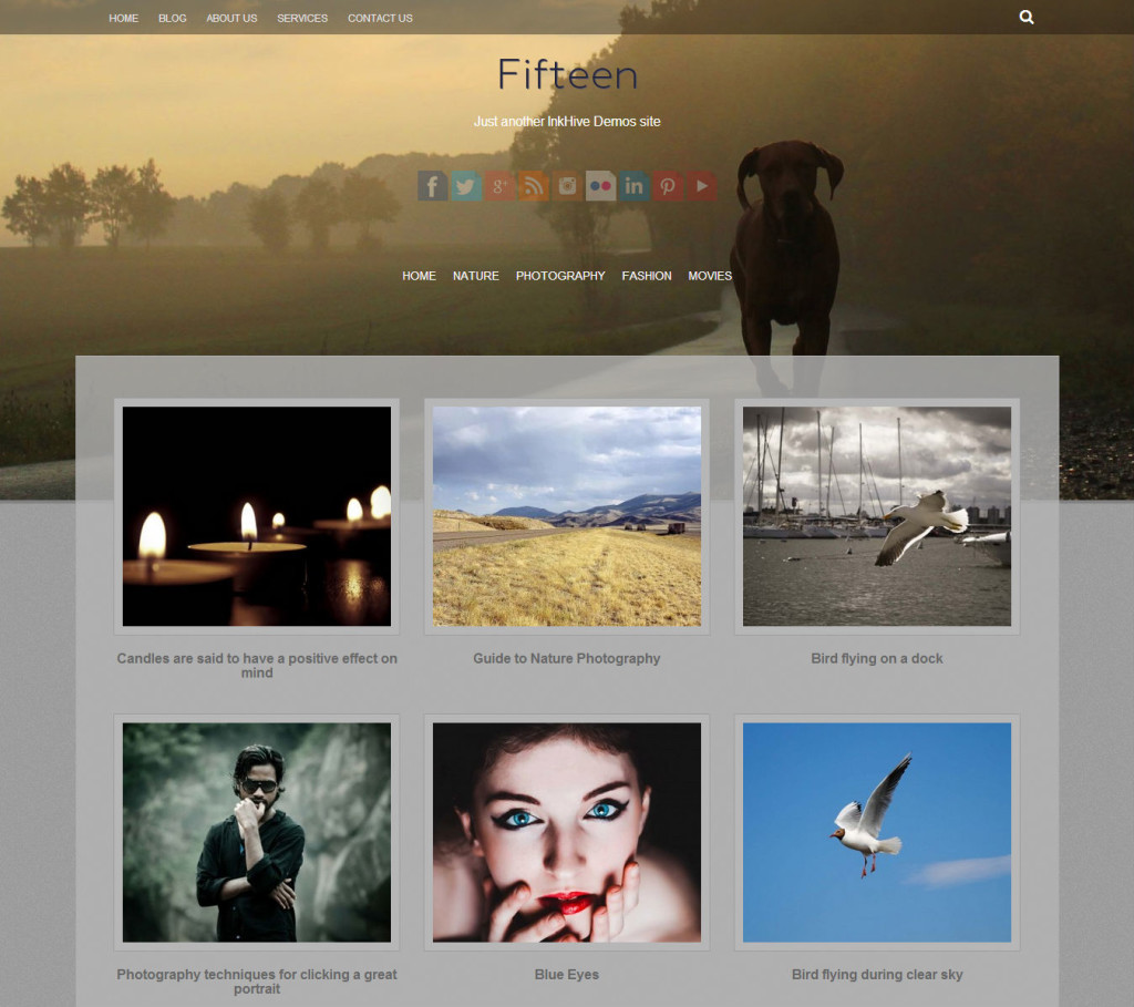 fifteen-best-free-wordpress-themes15