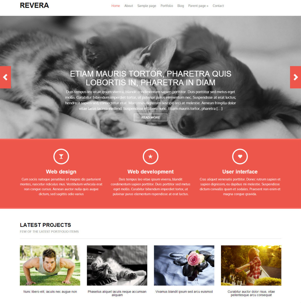 revera-best-free-wordpress-themes22