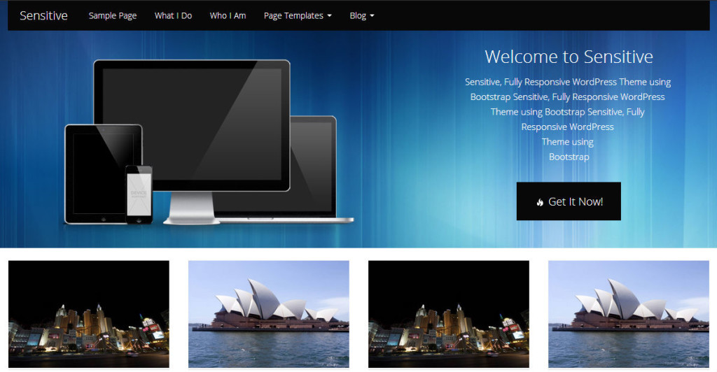 sensitive-best-free-wordpress-themes1