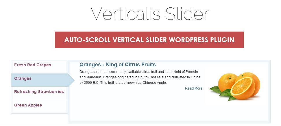 Verticalis Slider - most-popular-free-and-premium-slider-plugins-for-wordpress(42)