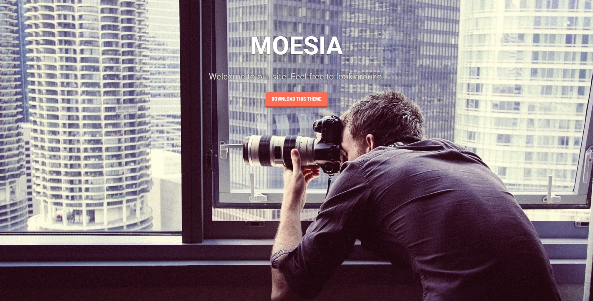 moesia-wordpress-theme