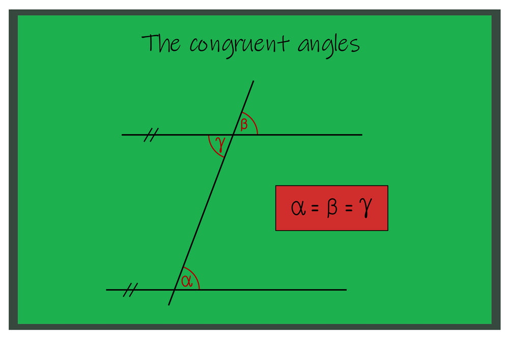 What Are Basic Facts About The Congruent Angles   Congruent Angles 