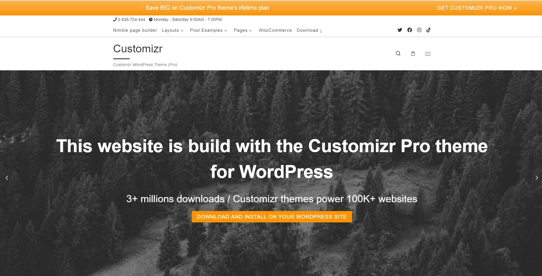 customizr-wordpress-theme